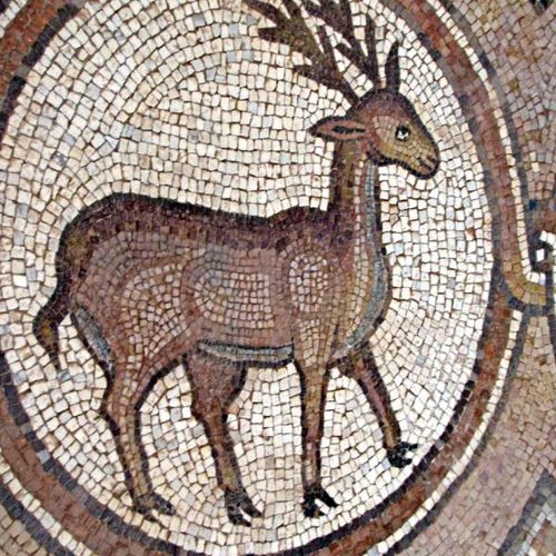 petra-5748358753.jpg