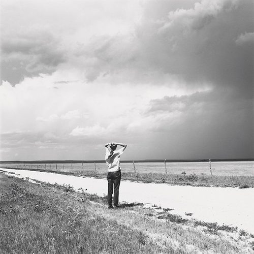Robert Adams